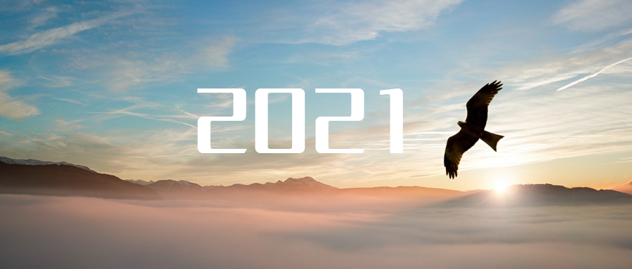 乘“峰”而上，智“盈”未來(lái) ——2021年MK体育環(huán)境高級(jí)資深副總裁新年開(kāi)工動(dòng)員
